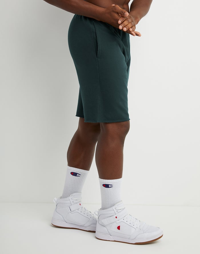 Champions fleece online shorts